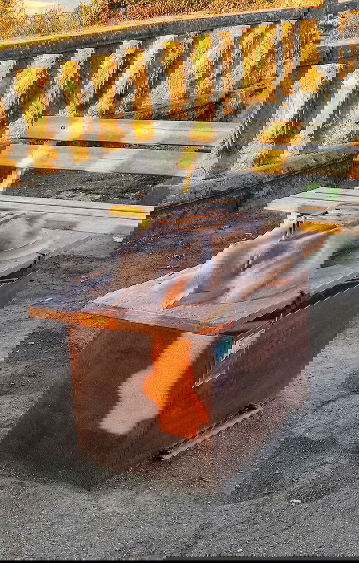 Variazione su simmetrie nr. 6.  Did David August Kessler 2017