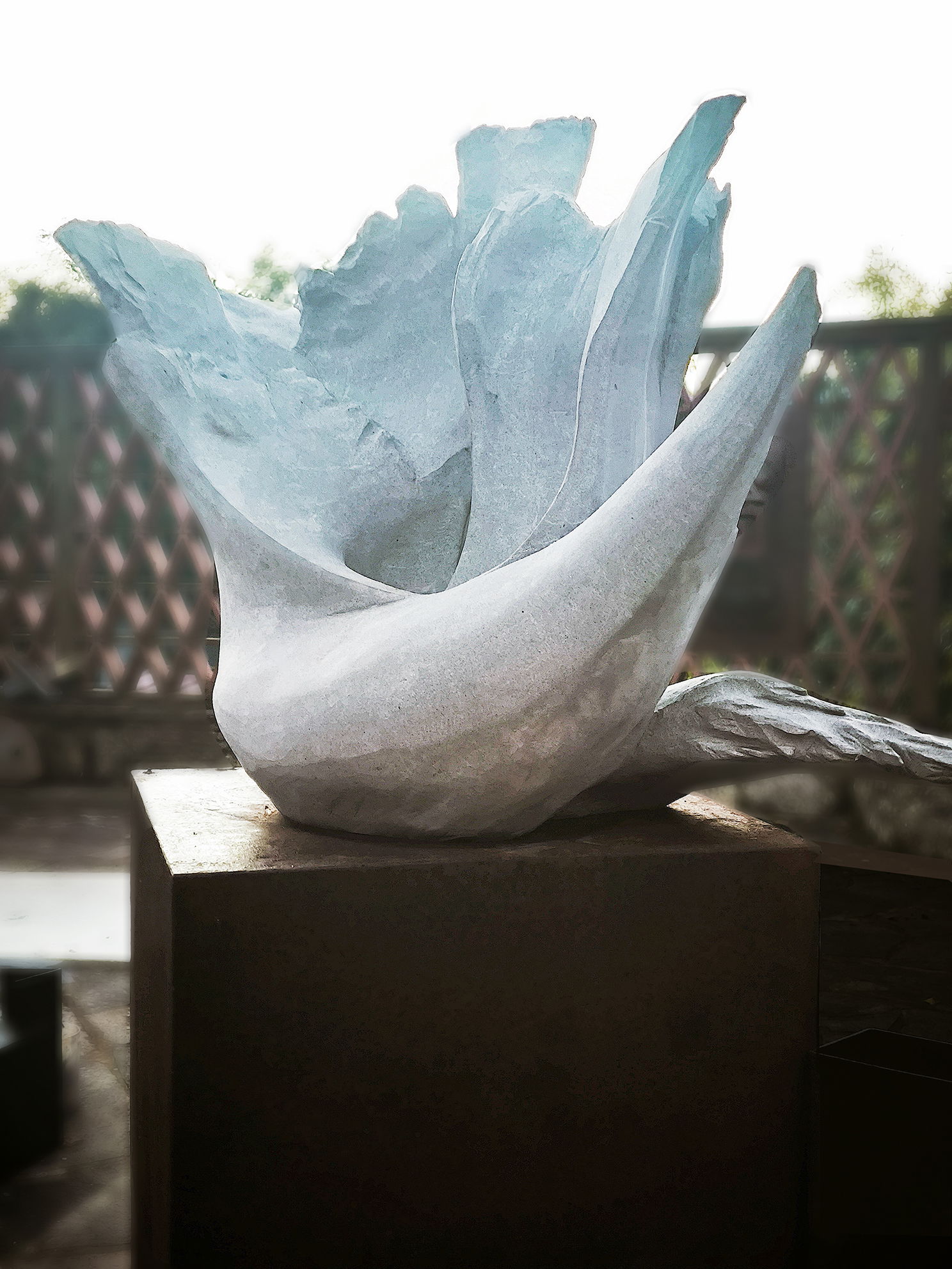 Biodinamico di Nikodem Rafal Tronjar 2025