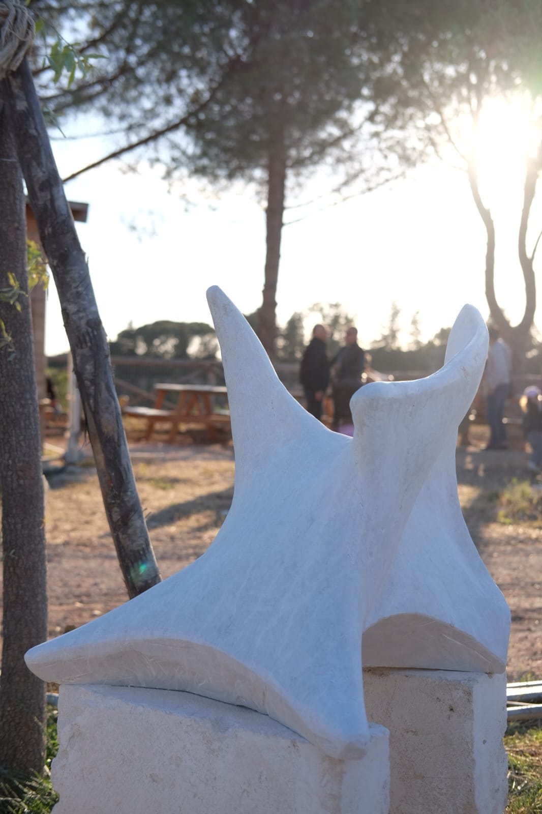 Senza titolo di Niko Rafal Tronjar 2025