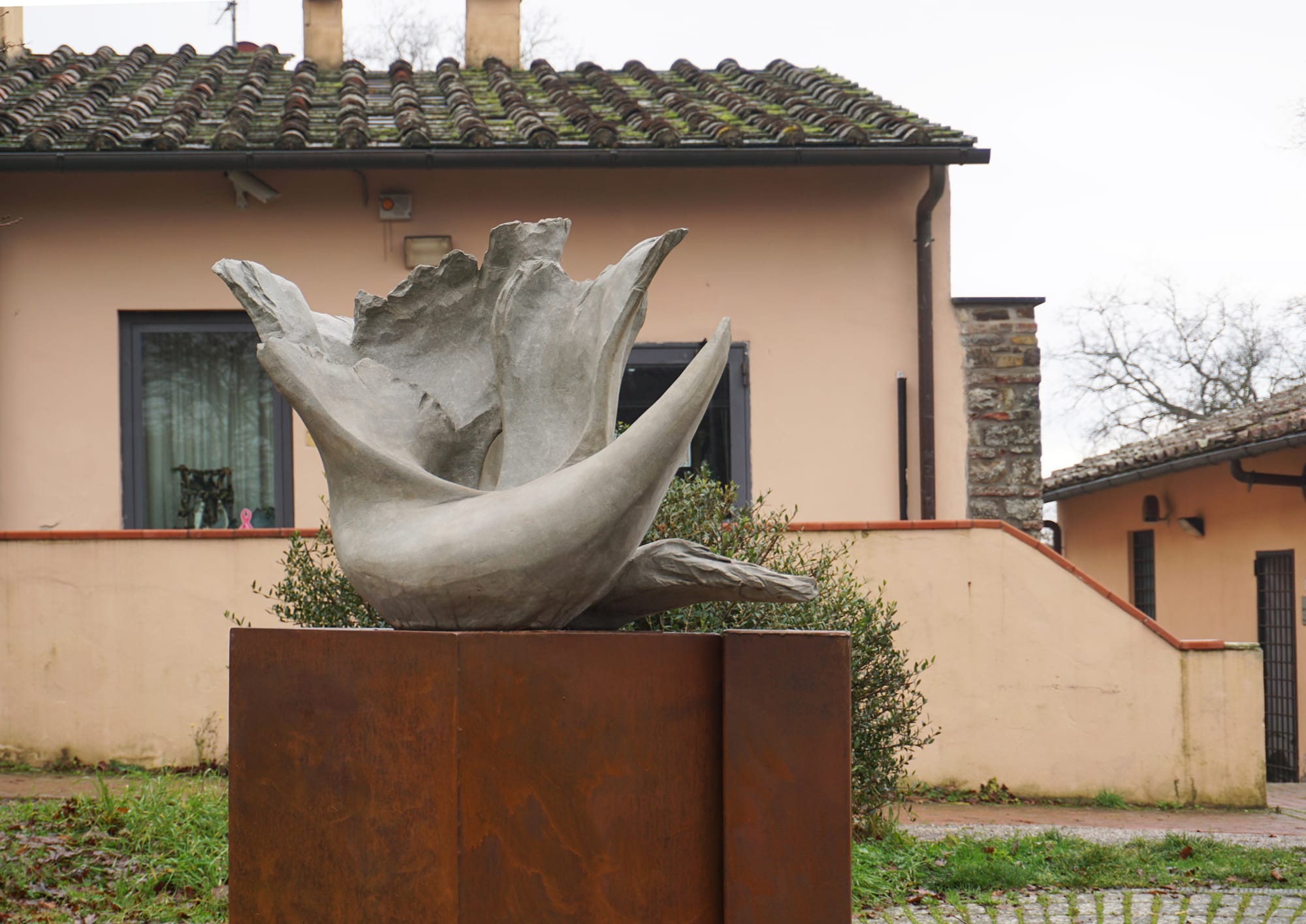 Biodinamico di Nokodem Rafal Tronjar San Piewro aSieve 2025