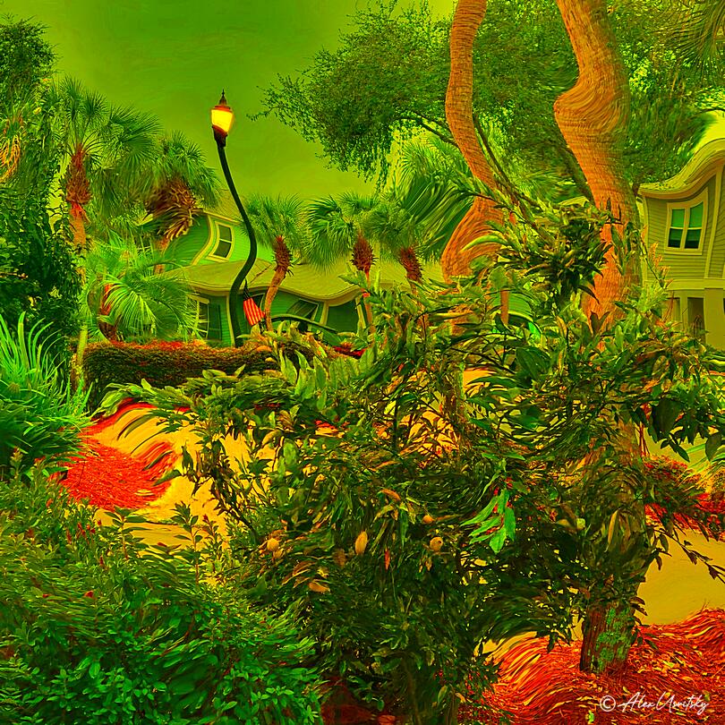 Midsummer Daydream #5