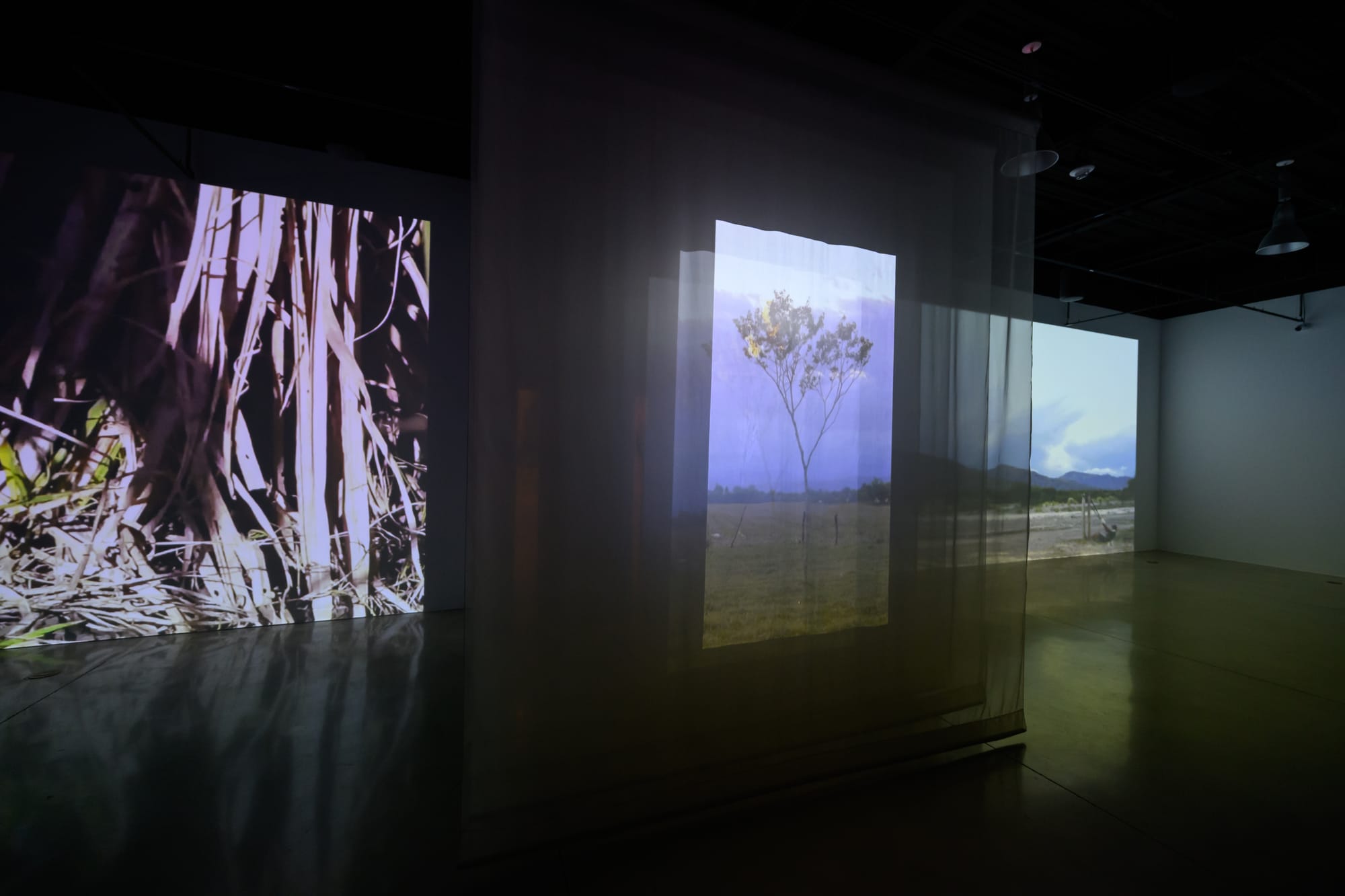 HABITAR UNA NUBE Adrián Sosa - The Frank C. Ortis 29 de enero de 2026 - Dream focus photography