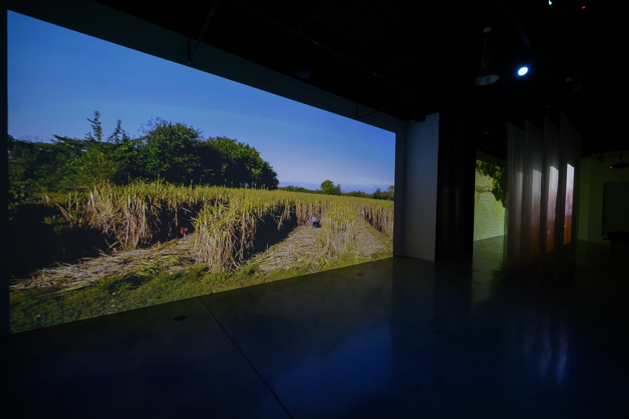 HABITAR UNA NUBE Adrián Sosa - The Frank C. Ortis 29 de enero de 2026 - Dream focus photography