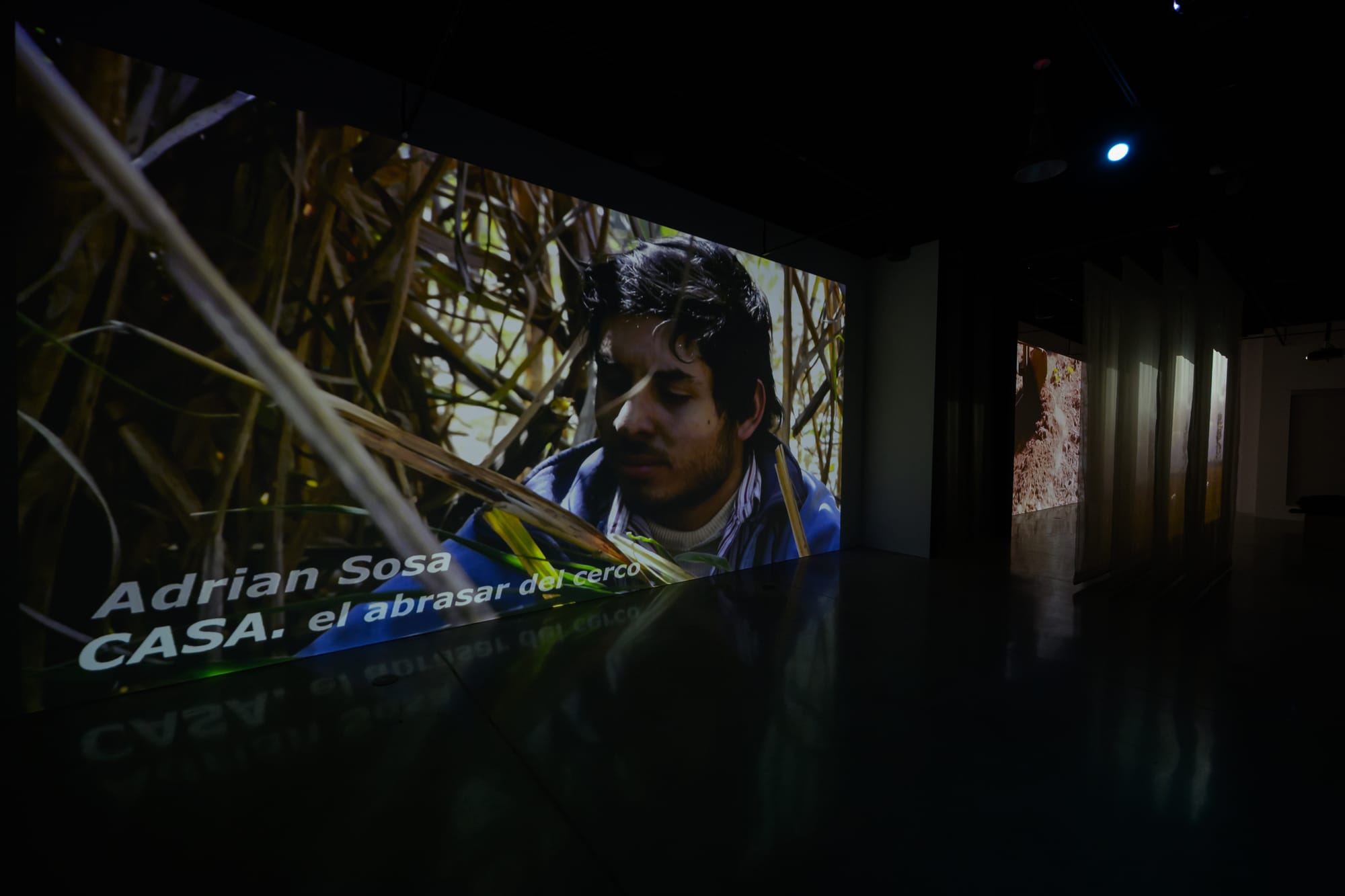 HABITAR UNA NUBE Adrián Sosa - The Frank C. Ortis 29 de enero de 2026 - Dream focus photography