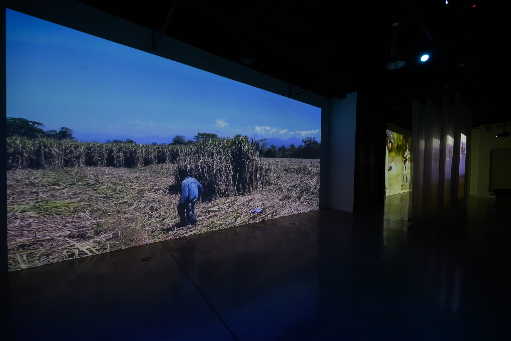 HABITAR UNA NUBE Adrián Sosa - The Frank C. Ortis 29 de enero de 2026 - Dream focus photography