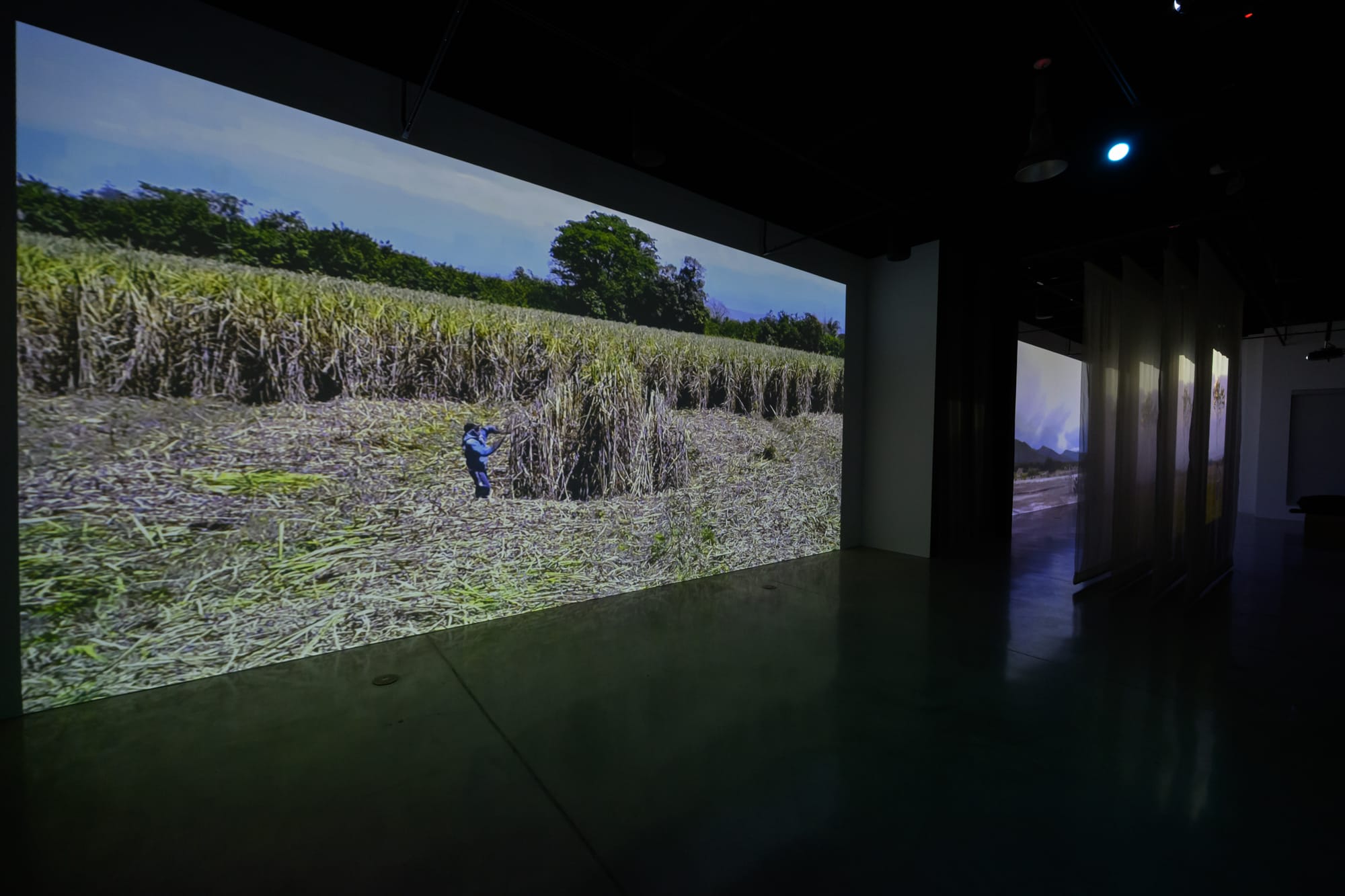 HABITAR UNA NUBE Adrián Sosa - The Frank C. Ortis 29 de enero de 2026 - Dream focus photography