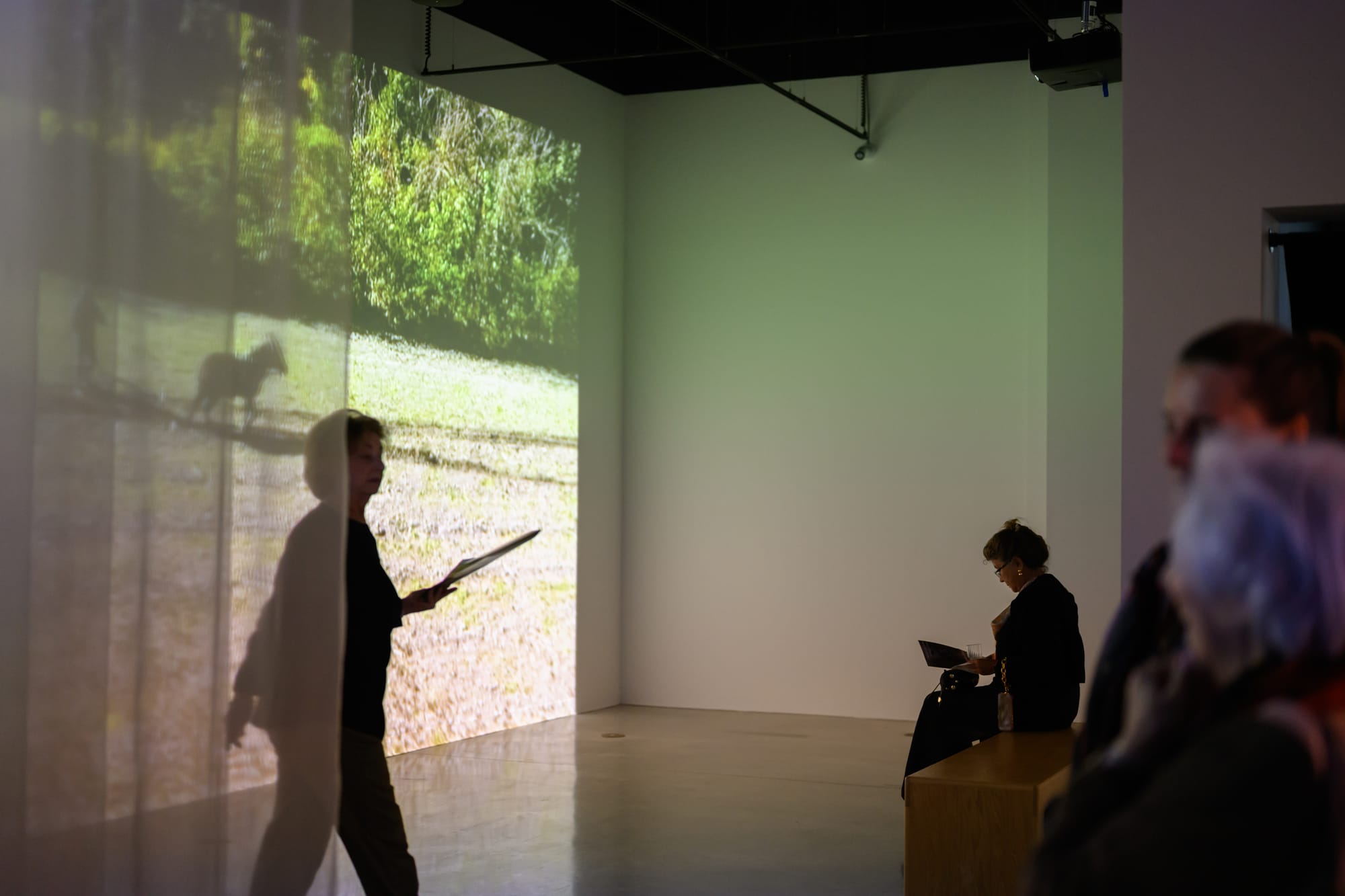 HABITAR UNA NUBE Adrián Sosa - The Frank C. Ortis 29 de enero de 2026 - Dream focus photography