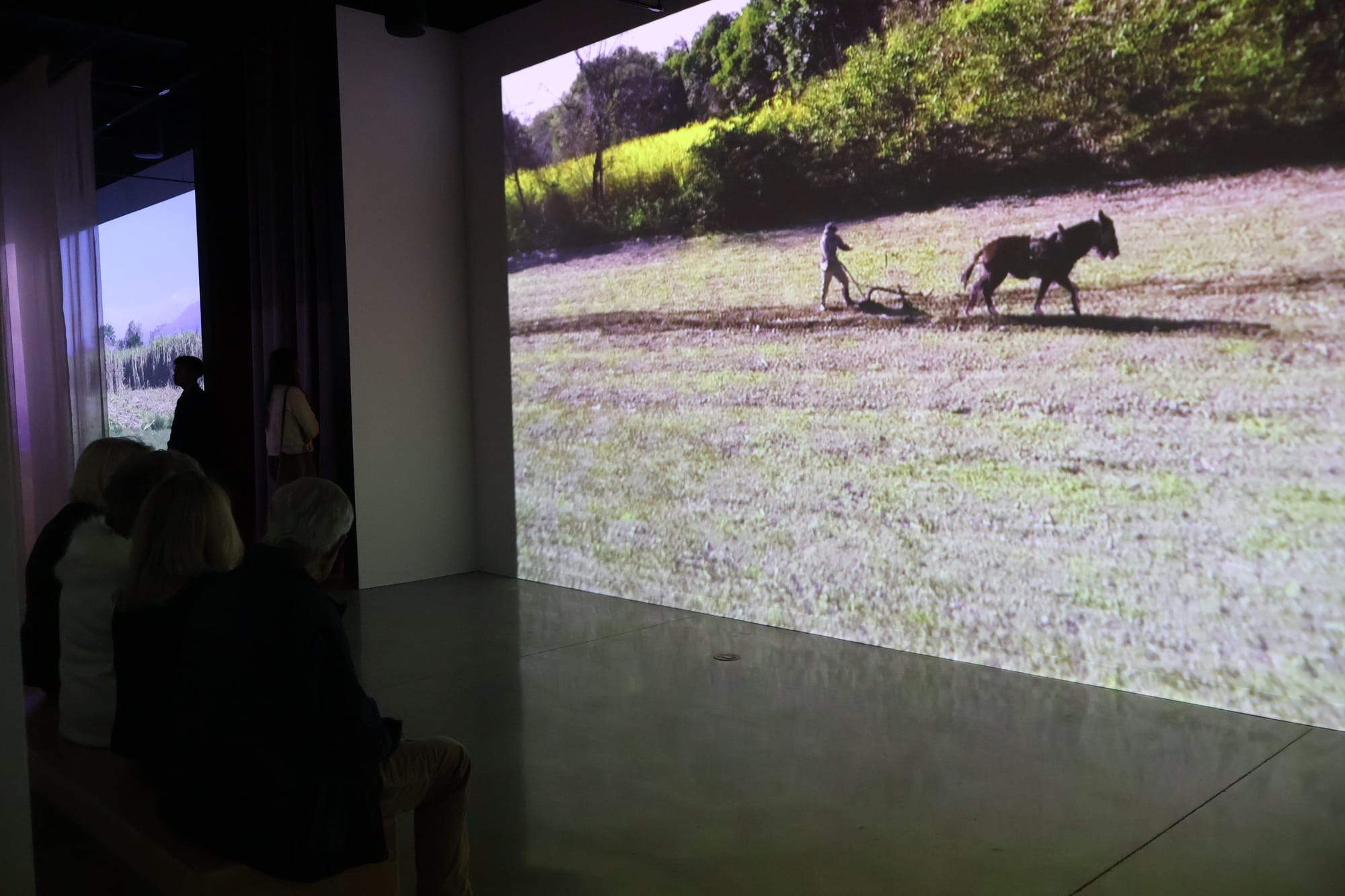 HABITAR UNA NUBE Adrián Sosa - The Frank C. Ortis 29 de enero de 2026 - Foto de Cynthia Pavon