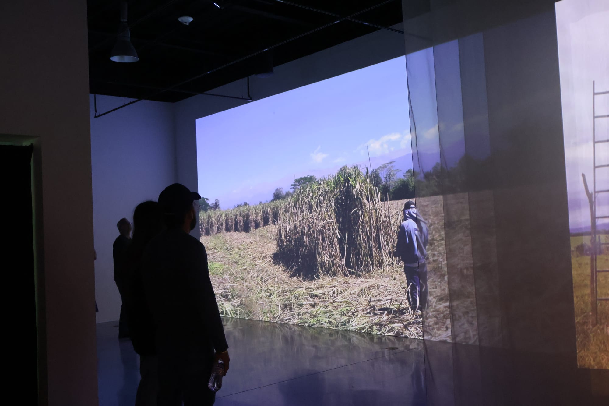 HABITAR UNA NUBE Adrián Sosa - The Frank C. Ortis 29 de enero de 2026 - Foto de Cynthia Pavon