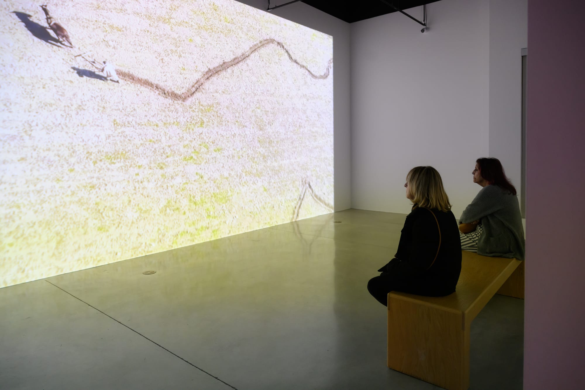 HABITAR UNA NUBE Adrián Sosa - The Frank C. Ortis 29 de enero de 2026 - Dream focus photography