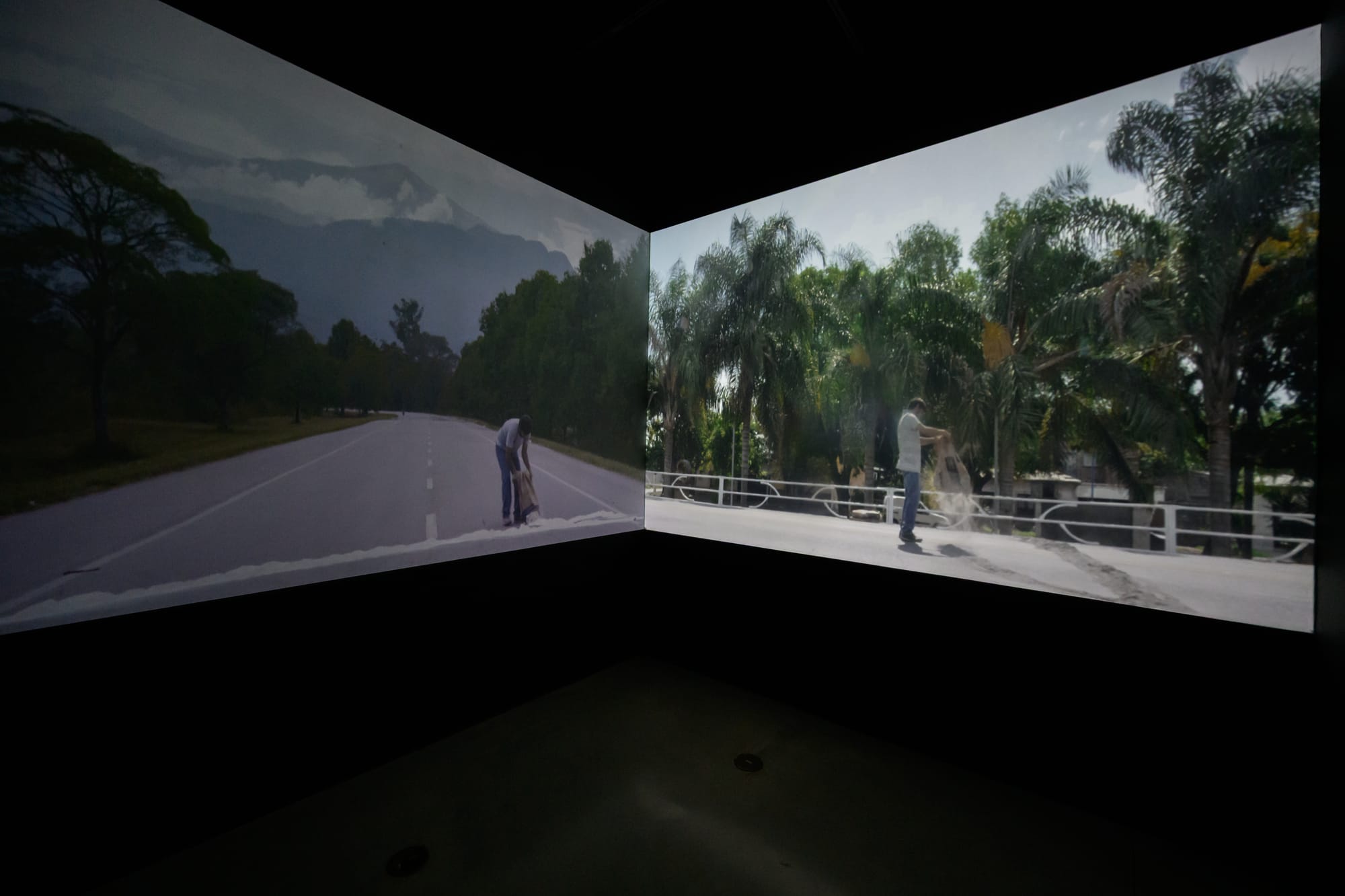 HABITAR UNA NUBE Adrián Sosa - The Frank C. Ortis 29 de enero de 2026 - Dream focus photography