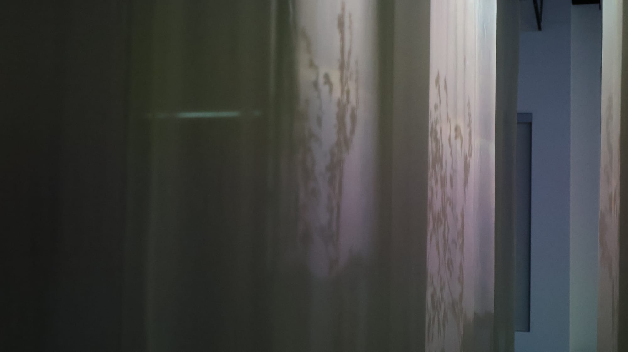 HABITAR UNA NUBE Adrián Sosa - The Frank C. Ortis 29 de enero de 2026 - Foto de Veronica Gort