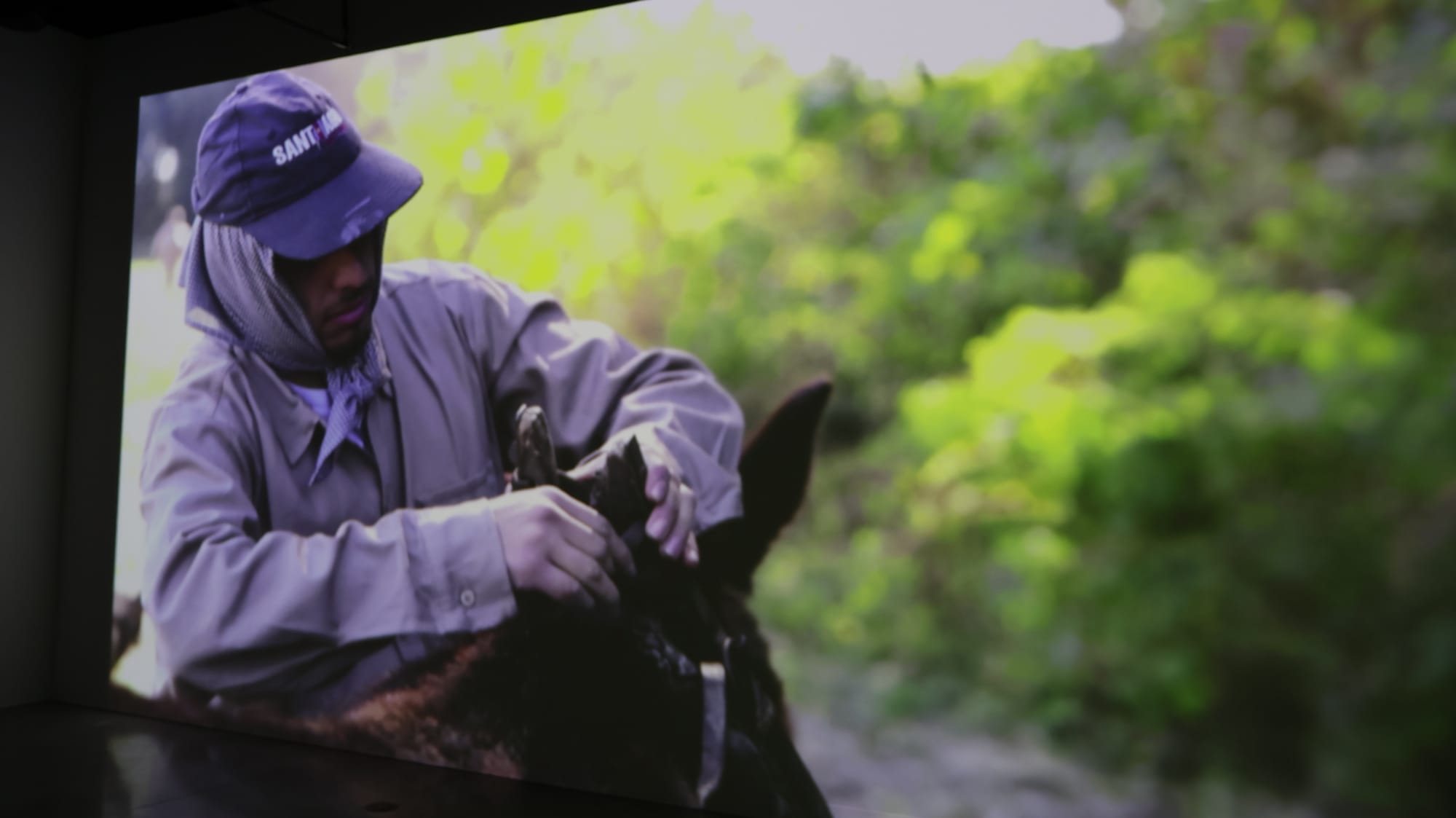 HABITAR UNA NUBE Adrián Sosa - The Frank C. Ortis 29 de enero de 2026 - Foto de Veronica Gort