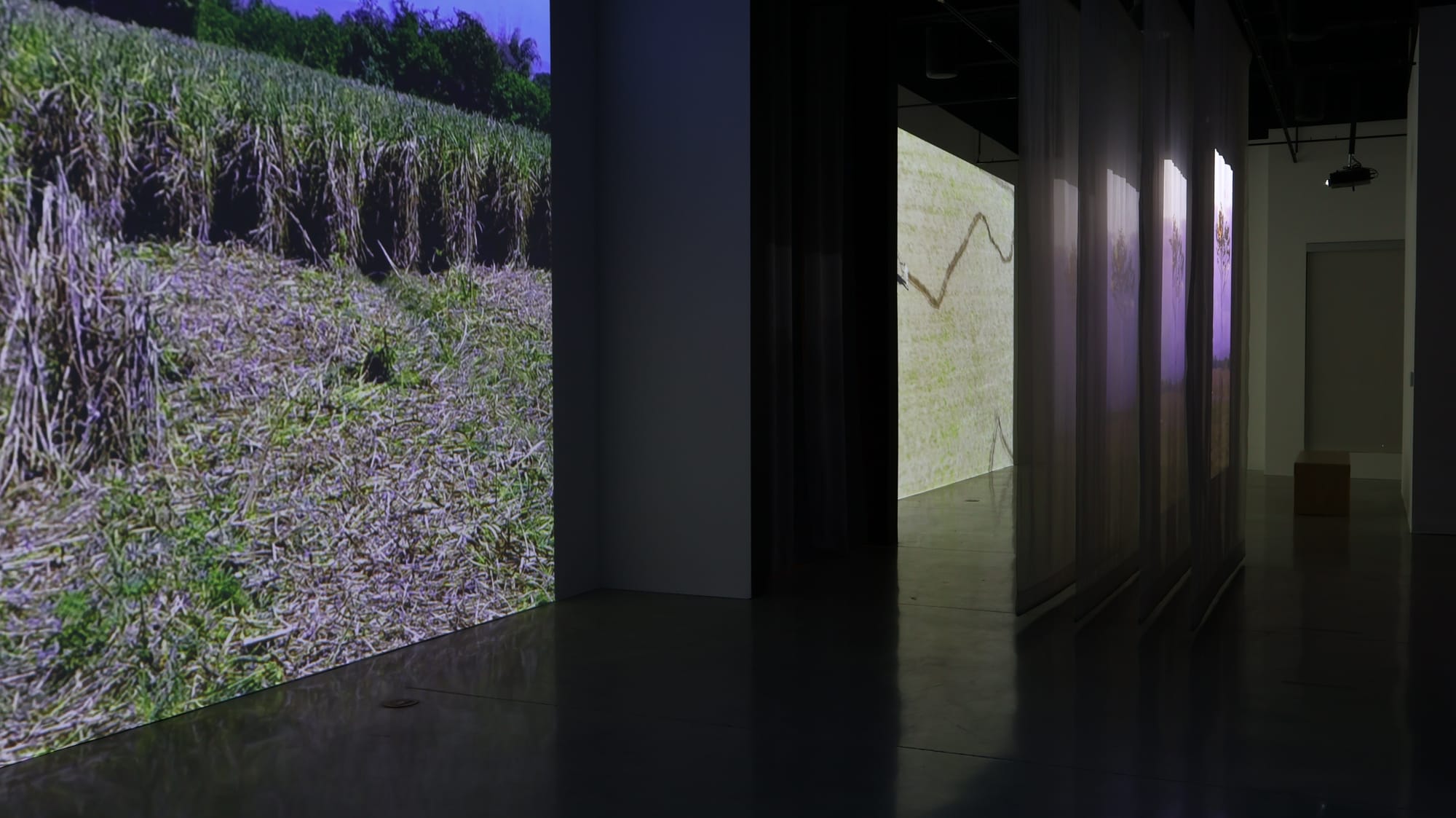 HABITAR UNA NUBE Adrián Sosa - The Frank C. Ortis 29 de enero de 2026 - Foto de Veronica Gort