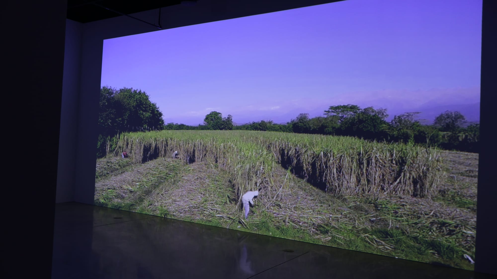 HABITAR UNA NUBE Adrián Sosa - The Frank C. Ortis 29 de enero de 2026 - Foto de Veronica Gort