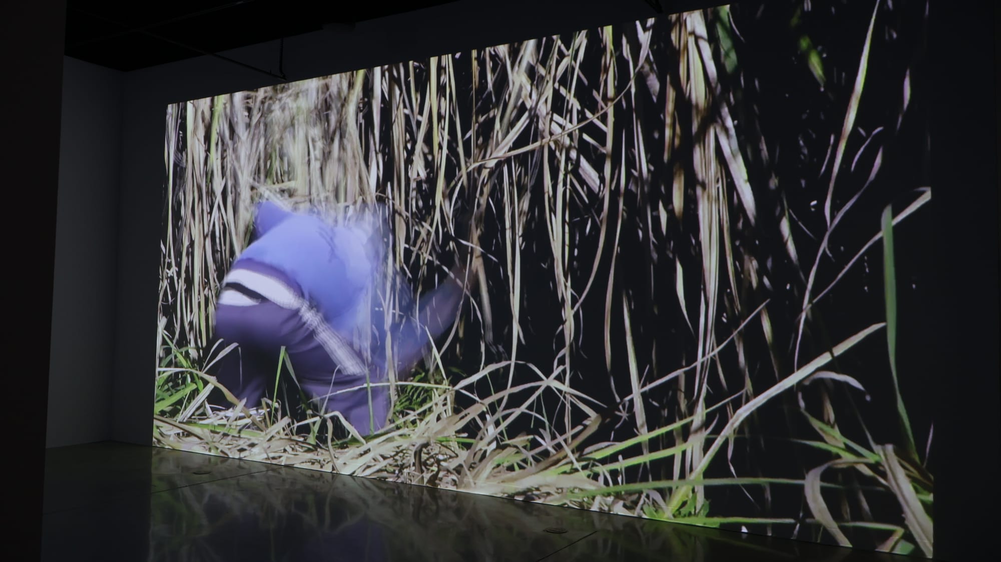 HABITAR UNA NUBE Adrián Sosa - The Frank C. Ortis 29 de enero de 2026 - Foto de Veronica Gort