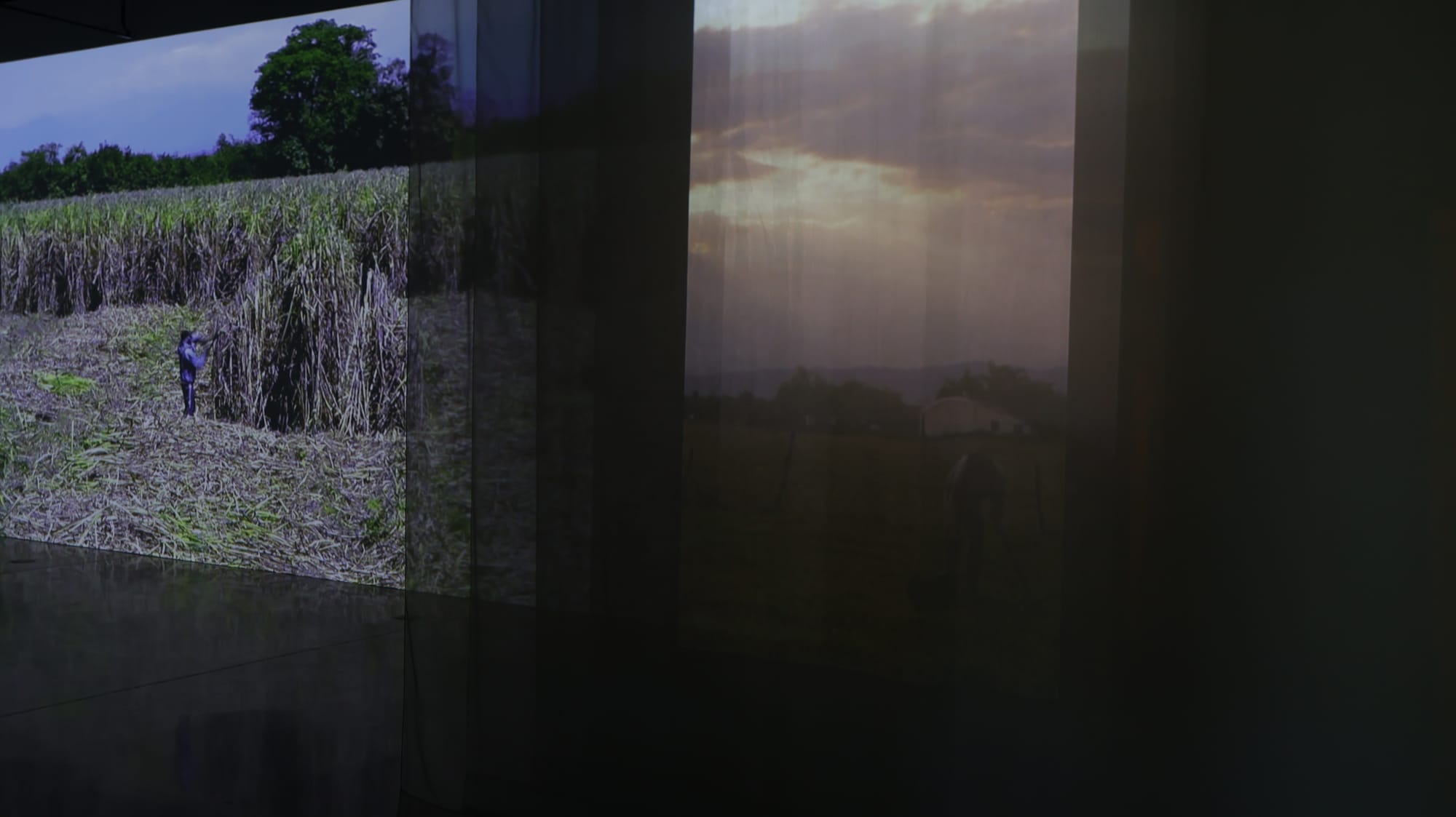 HABITAR UNA NUBE Adrián Sosa - The Frank C. Ortis 29 de enero de 2026 - Foto de Veronica Gort