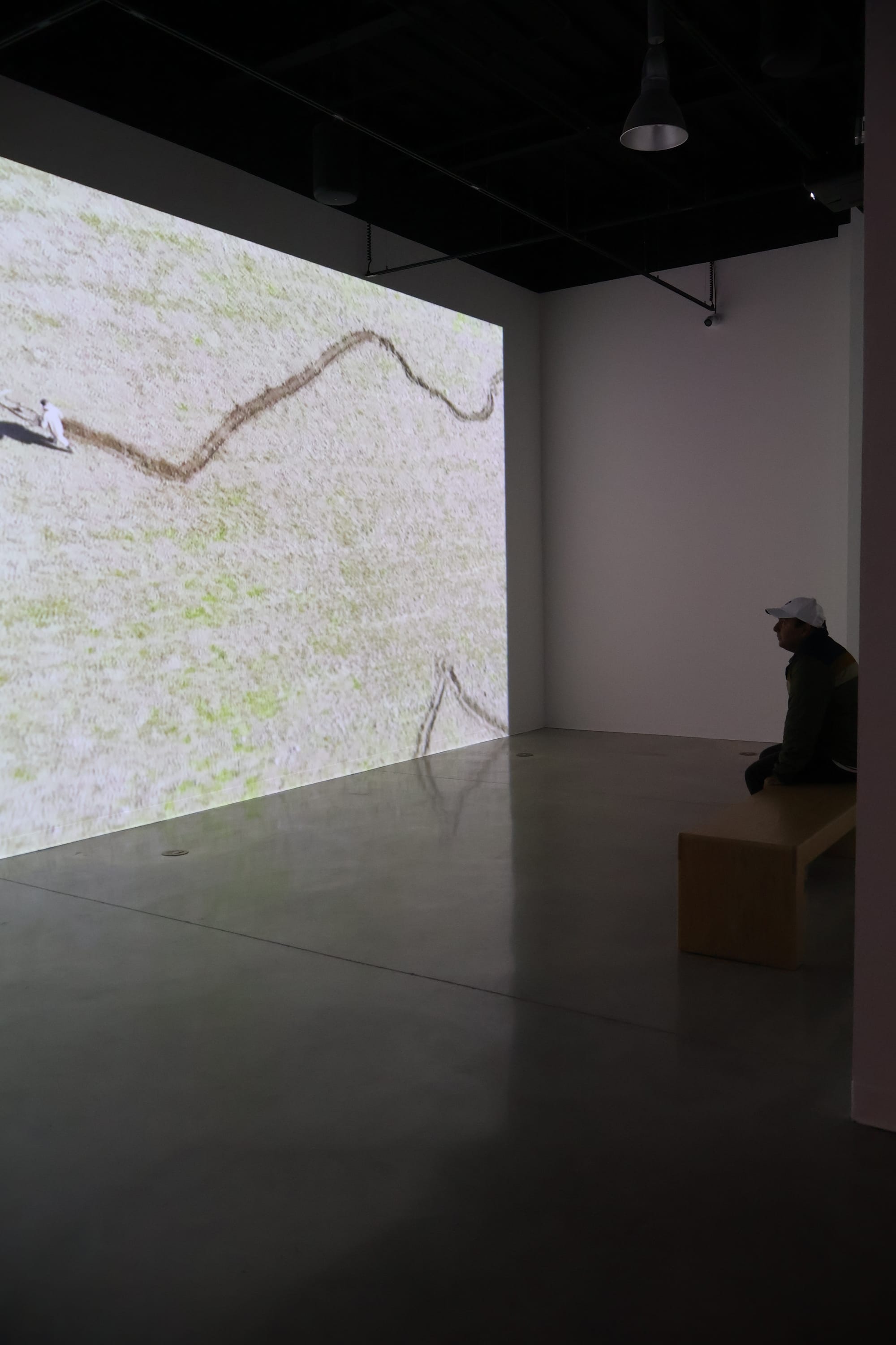 HABITAR UNA NUBE Adrián Sosa - The Frank C. Ortis 29 de enero de 2026 - Foto de Cynthia Pavon