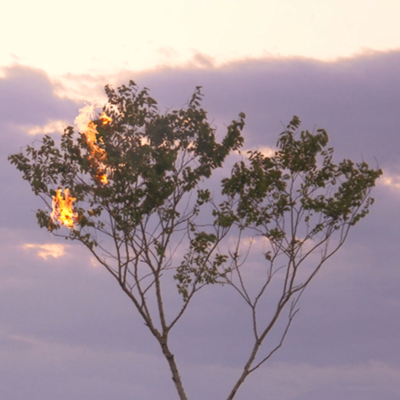 ZARZA - Espacio de combustión