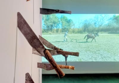 Arte y trabajo duro se combinan en una videoexposición - titulares.ar