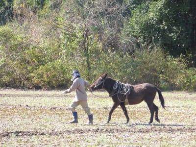 Arte y trabajo duro se combinan en una videoexposición - Por Laura Feinsilber para ambito financiero