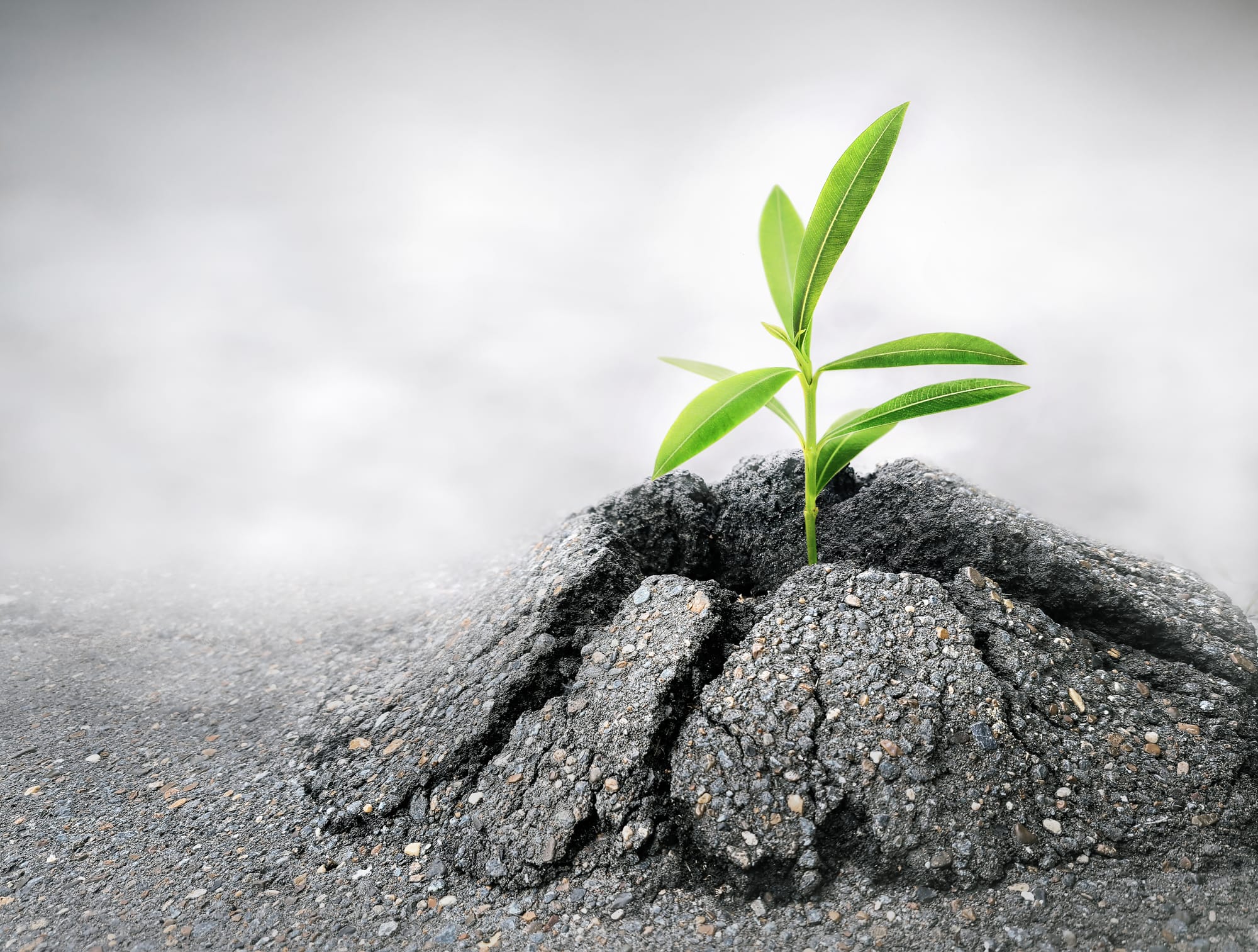 Rediscovering Your Purpose