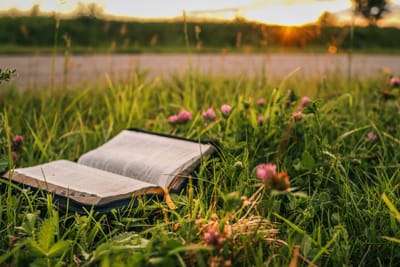 12 Bible Verses for Anxiety and Fear, With Practical Ways to Apply Them
