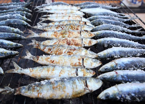 Festival da Sardinha Portimão