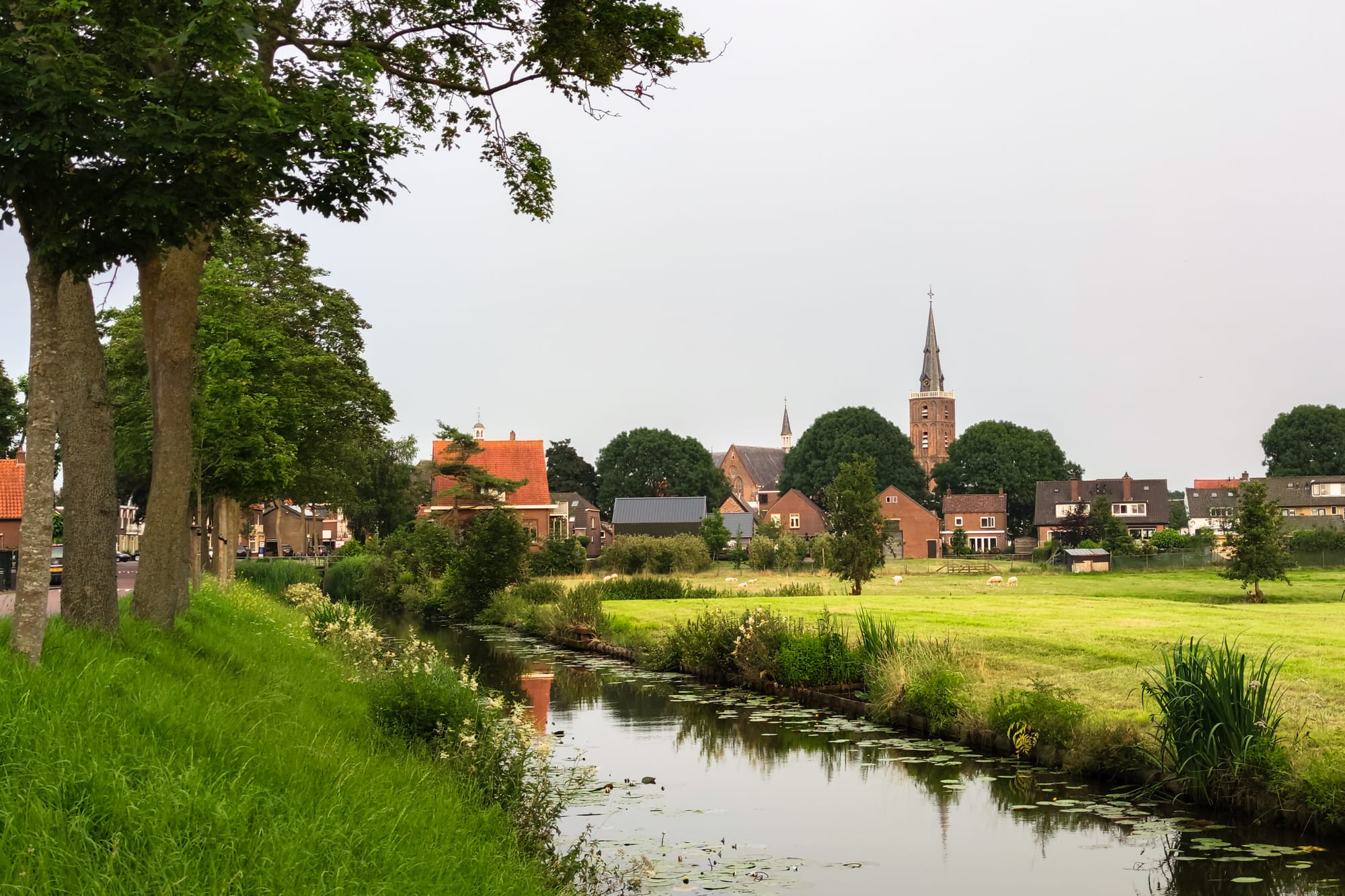 Website laten maken Meierijstad