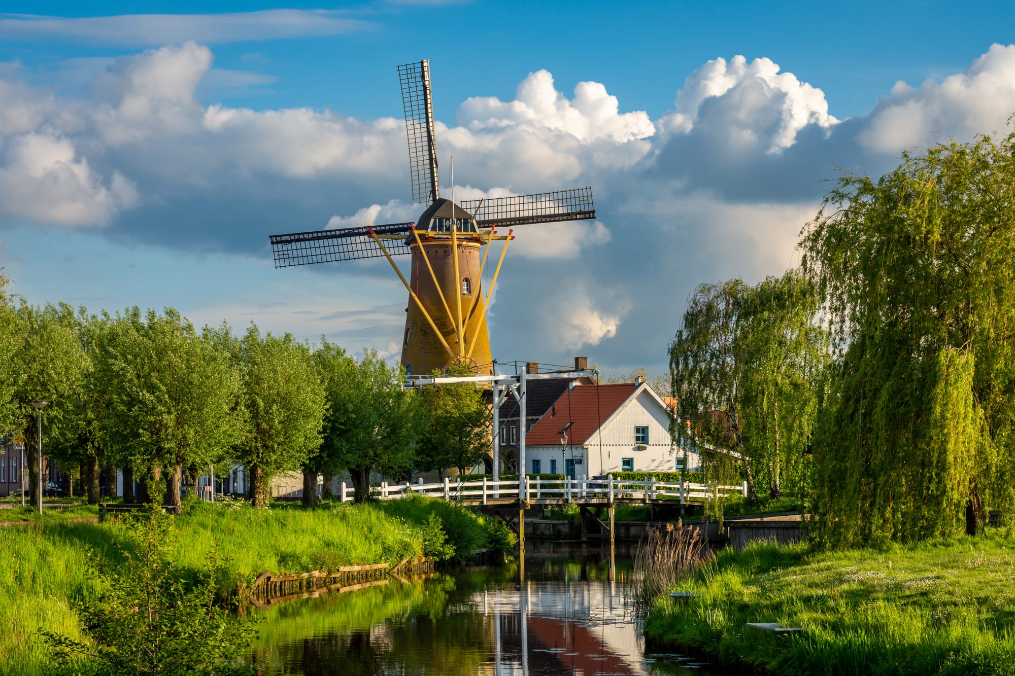 Website laten maken Etten-Leur