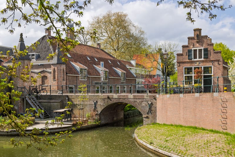 Website laten maken IJsselstein