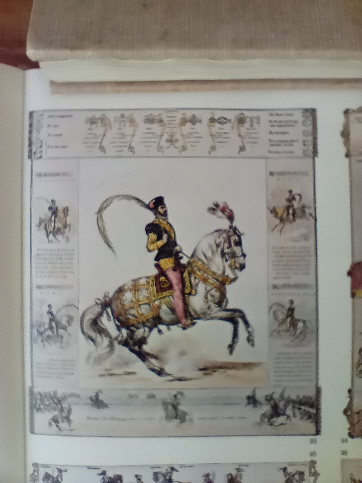 EQUESTRIS ARS MATER ARTIUM