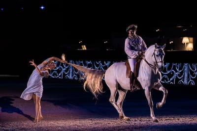 Le Arti Equestri verso l’UNESCO: un patrimonio che unisce Italia e Spagna