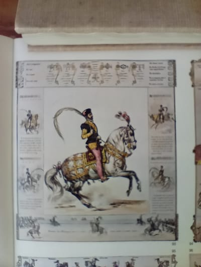 EQUESTRIS ARS MATER ARTIUM