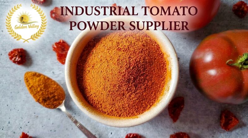 industrial tomato powder supplier - golden valley