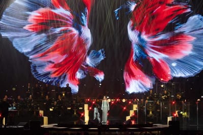 نجوى كرم تشعل مسرح محمد عبده بالرياض بحفل استثنائي وتستقبل العام الجديد من دبي