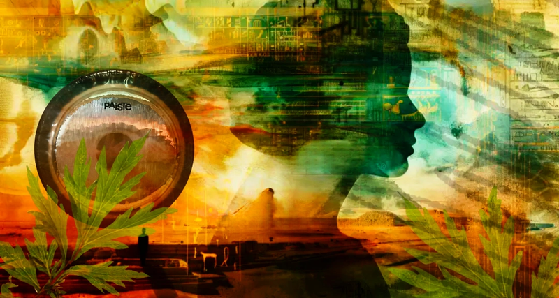 Past Life Regression, Mug-wort Tea and Immersive Gong Bath