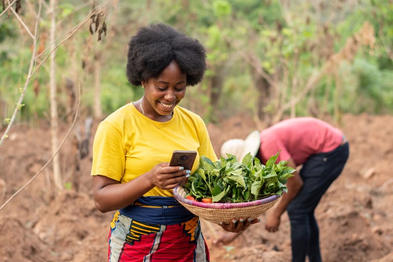 FEM-HUB Mashinani