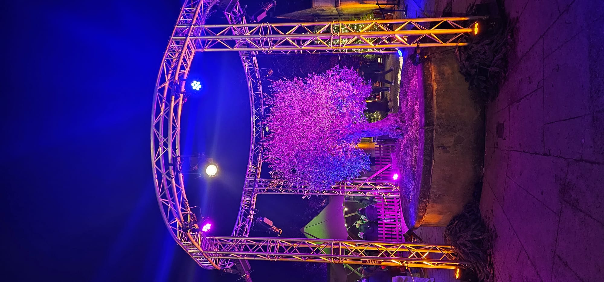 BLENHEIM LIGHTS 2024