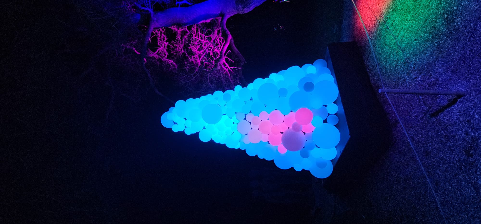 BLENHEIM LIGHTS 2024