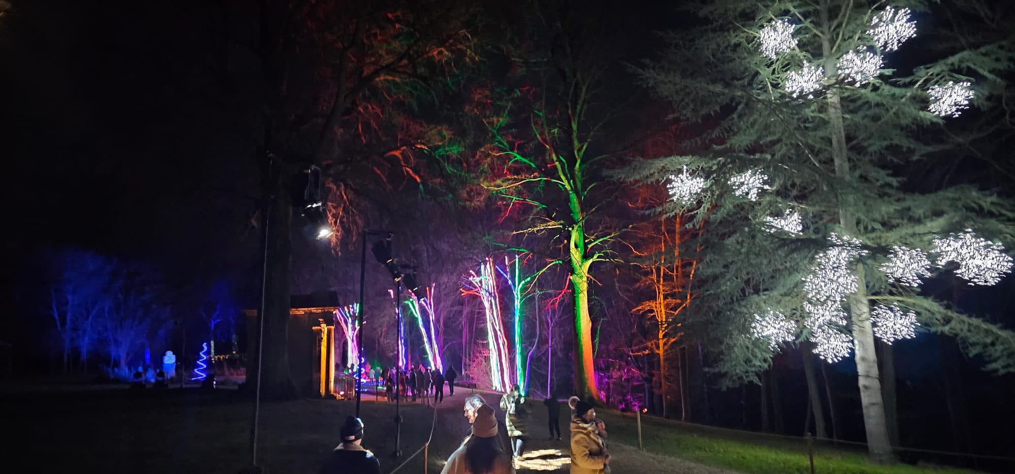 BLENHEIM LIGHTS 2024