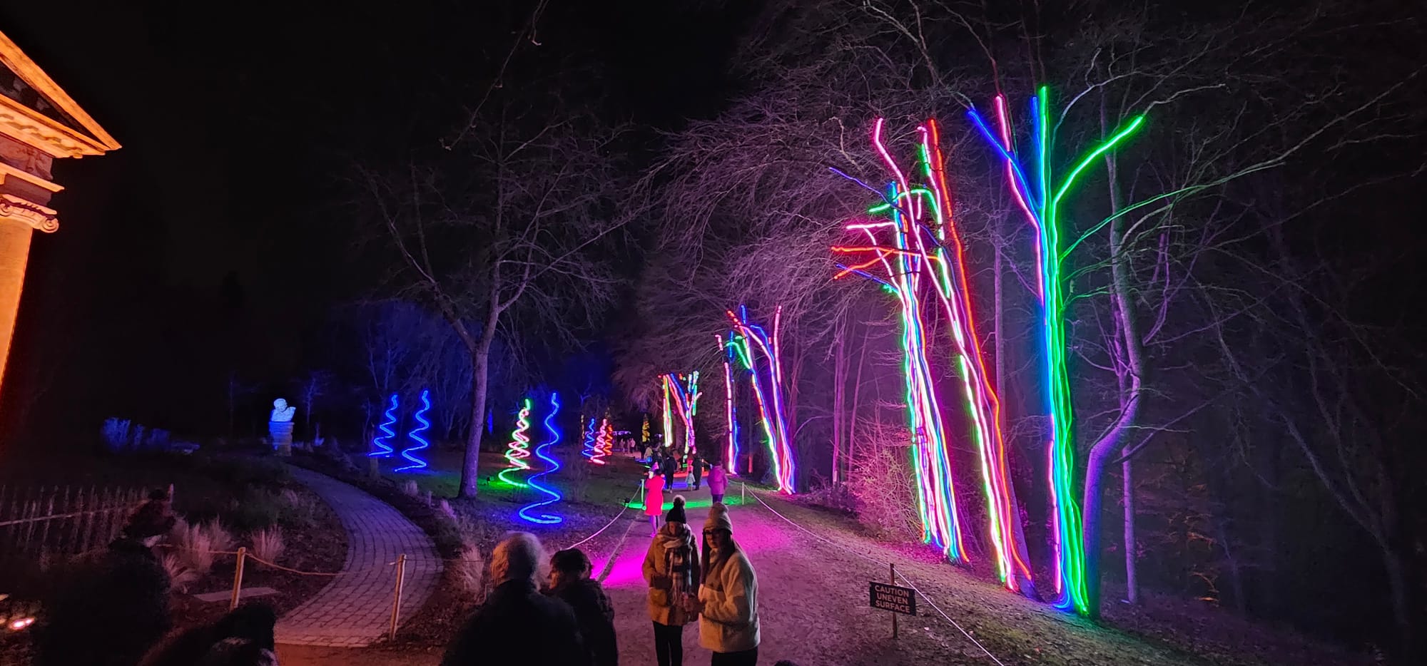 BLENHEIM LIGHTS 2024