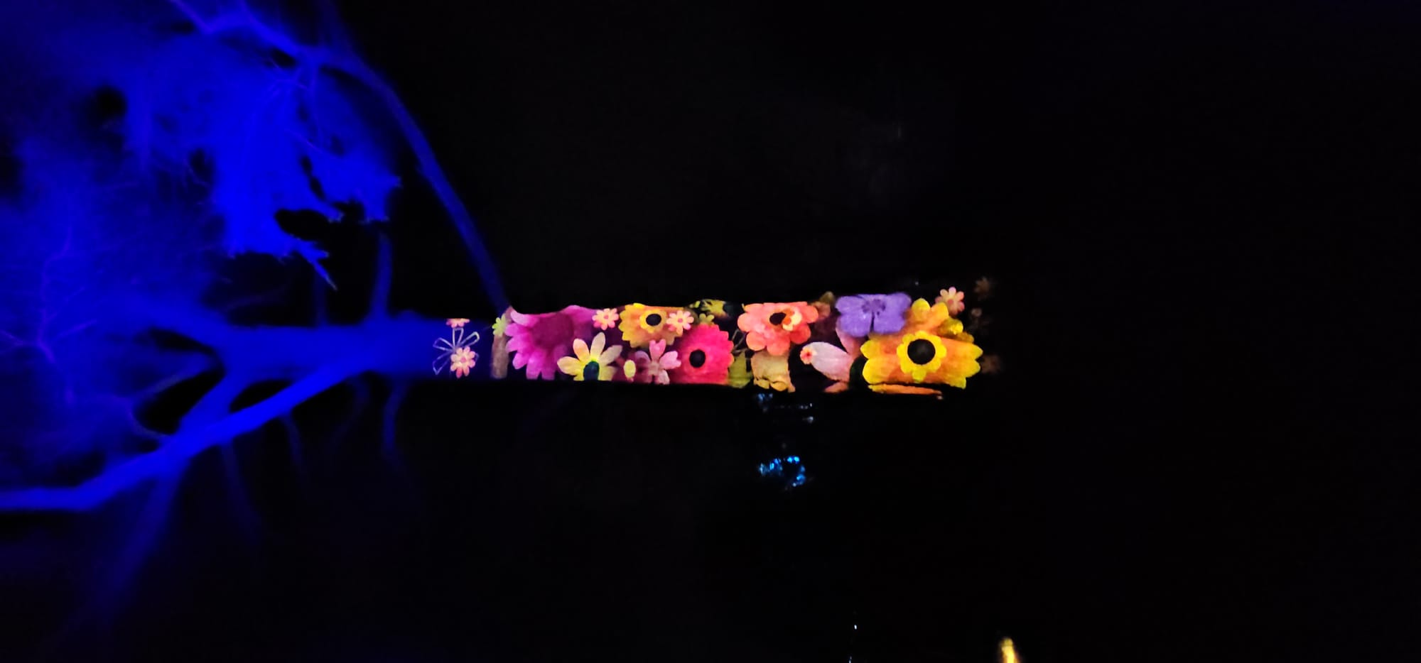 BLENHEIM LIGHTS 2024