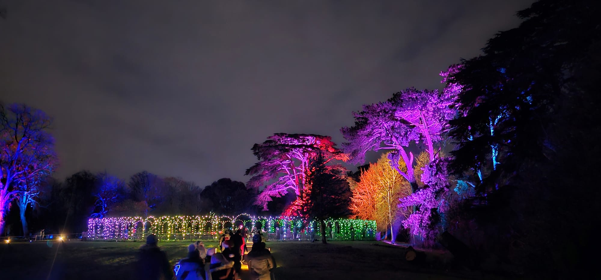 BLENHEIM LIGHTS 2024