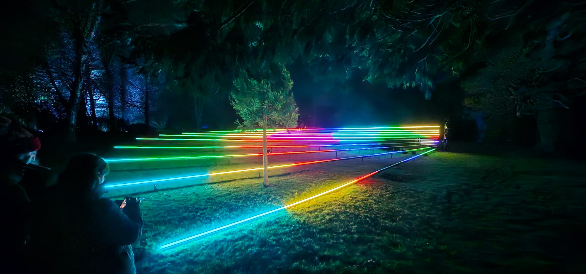 BLENHEIM LIGHTS 2024