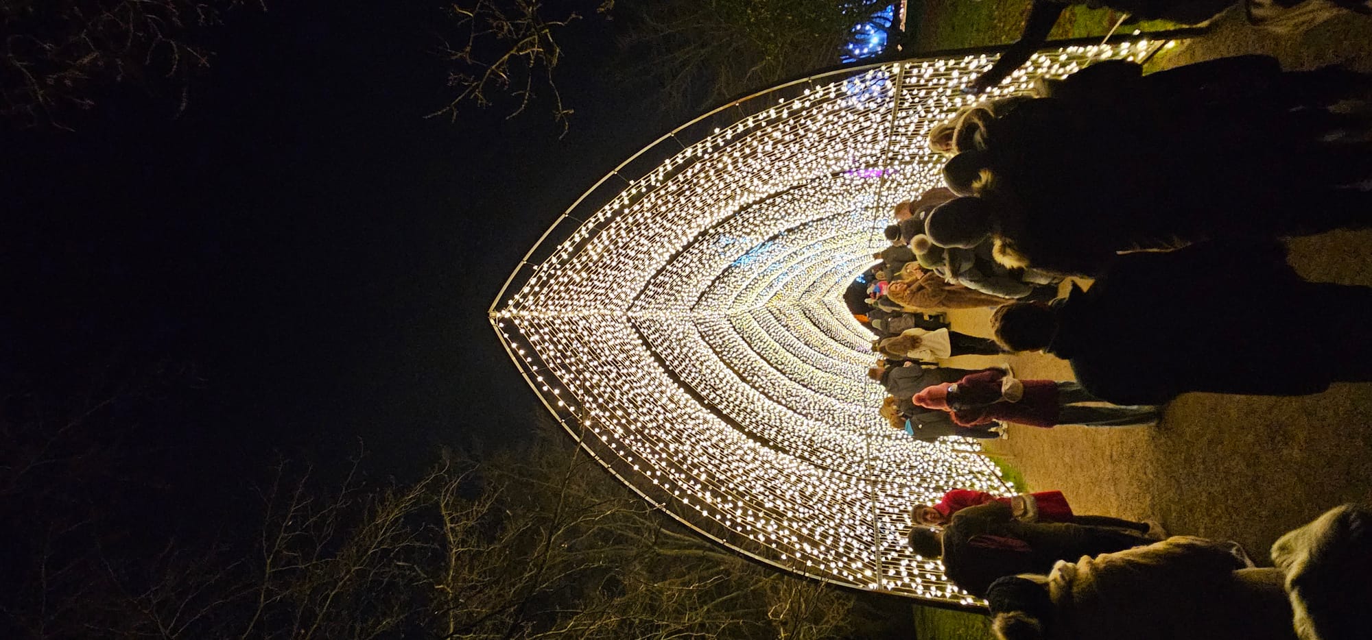 BLENHEIM LIGHTS 2024