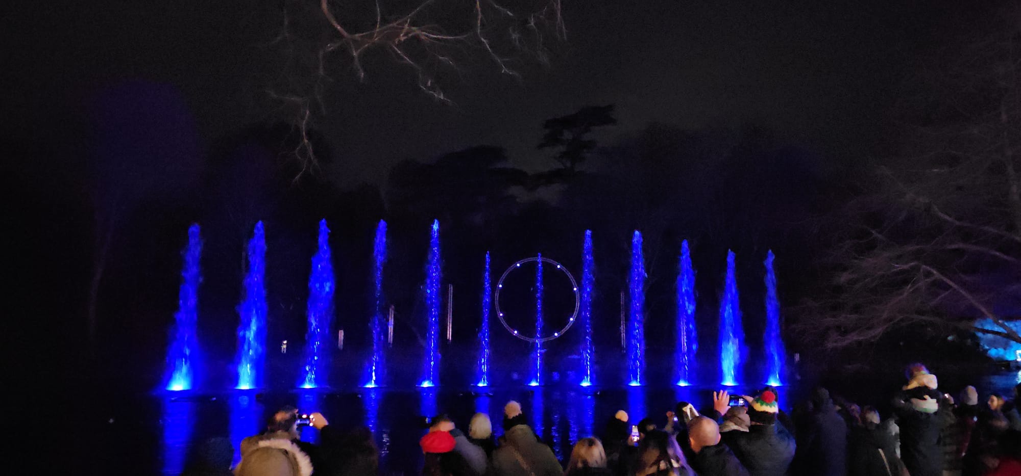 BLENHEIM LIGHTS 2024