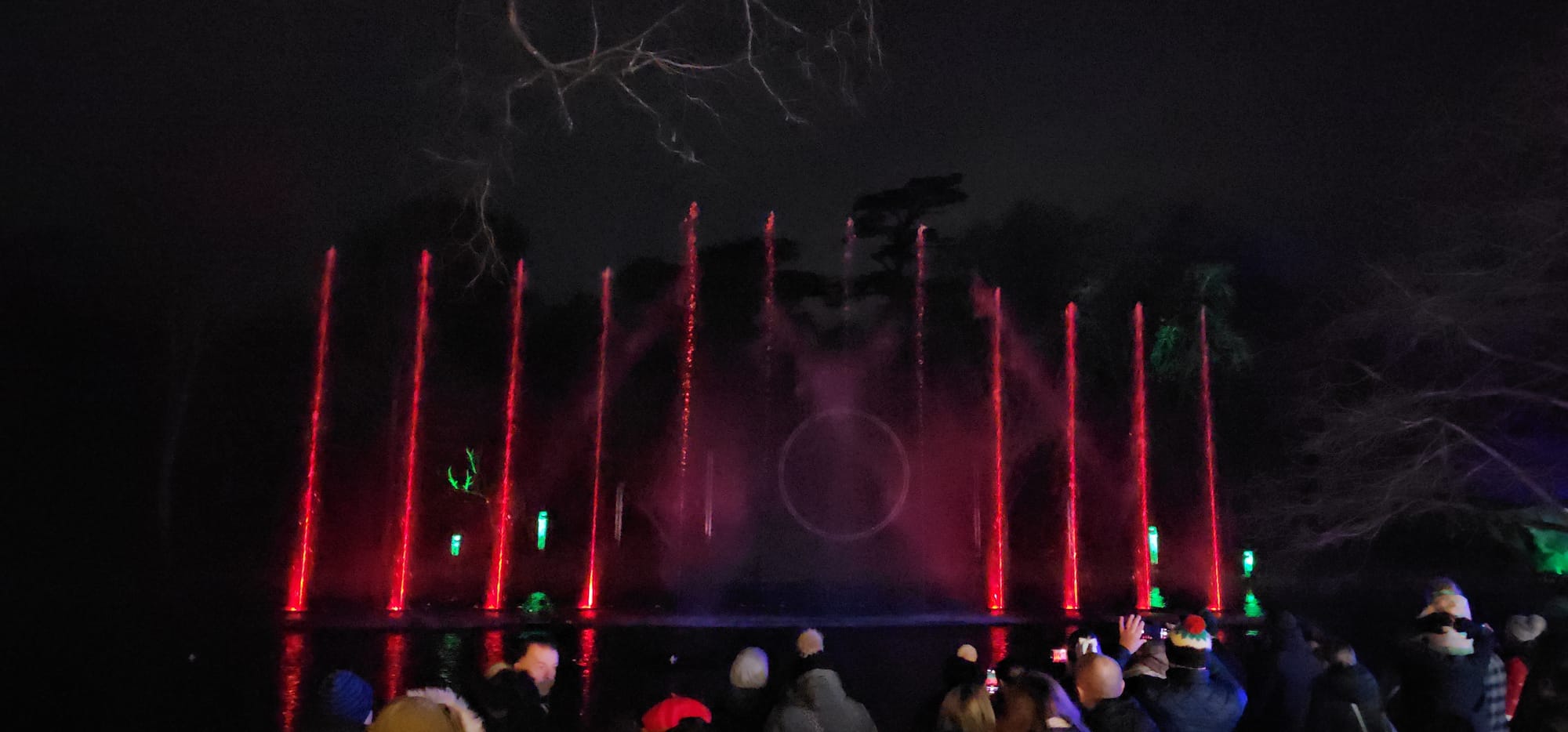 BLENHEIM LIGHTS 2024