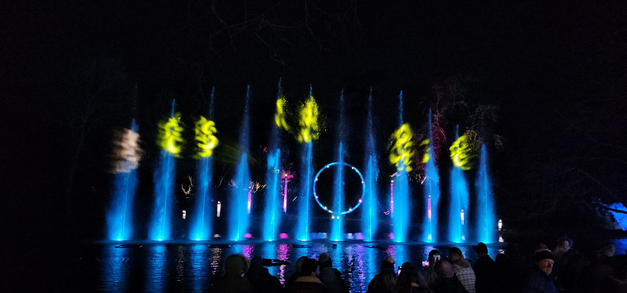 BLENHEIM LIGHTS 2024