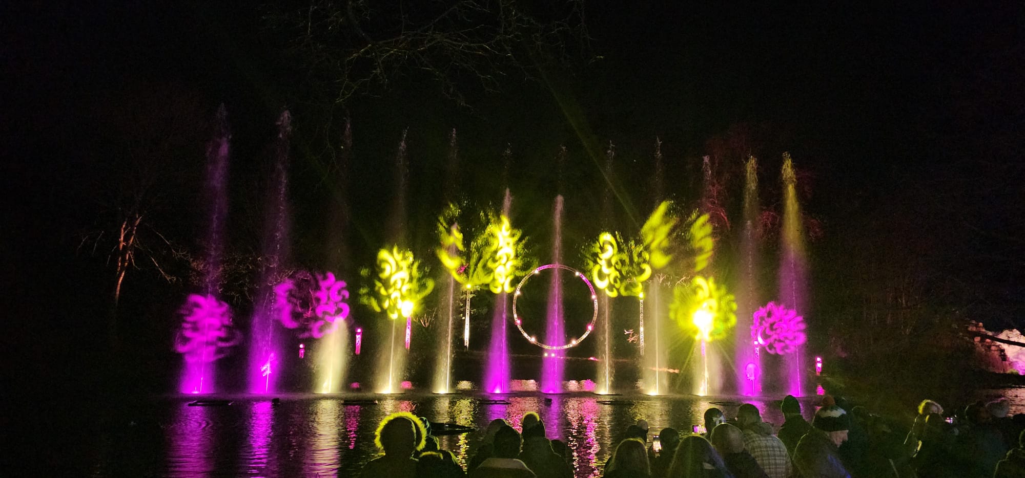 BLENHEIM LIGHTS 2024